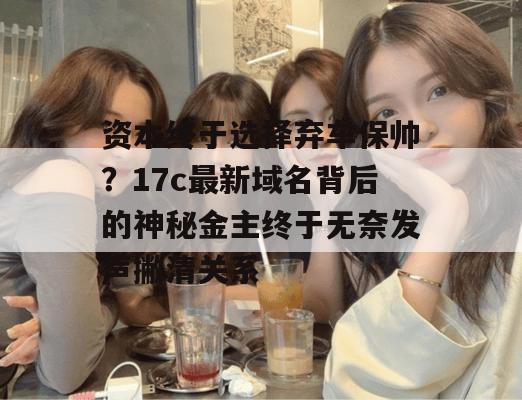 资本终于选择弃车保帅？17c最新域名背后的神秘金主终于无奈发声撇清关系