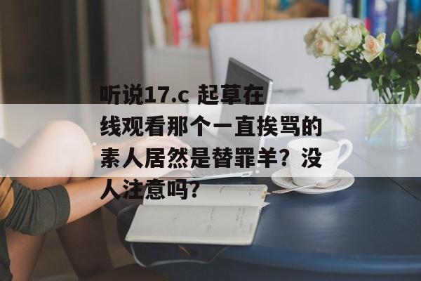 听说17.c 起草在线观看那个一直挨骂的素人居然是替罪羊？没人注意吗？